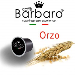 Orzo NE