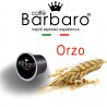 Orzo NE