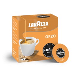 Orzo