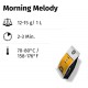 Morning Melody